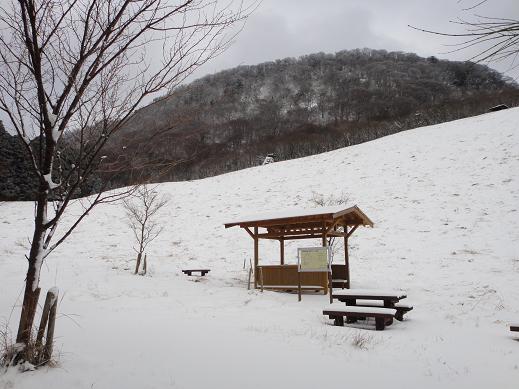 e0164643_1414201.jpg