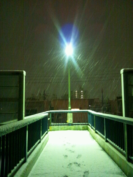 a0055650_5251547.jpg