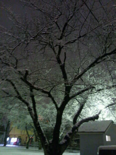 a0055650_5263364.jpg