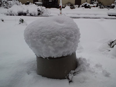 c0145453_12154917.jpg