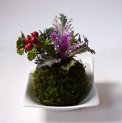c0225153_225917.gif