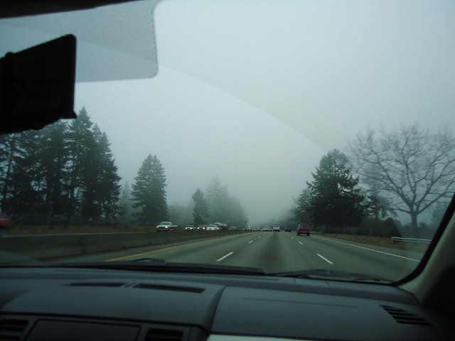 d0172957_8591832.jpg