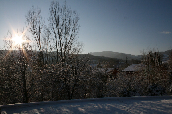 f0077159_334186.jpg