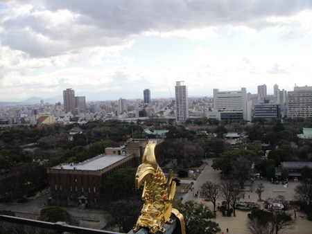 c0108460_208154.jpg