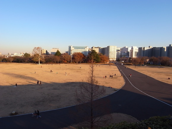 e0066861_4412985.jpg