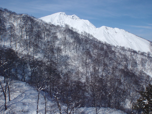 b0067179_6423019.jpg