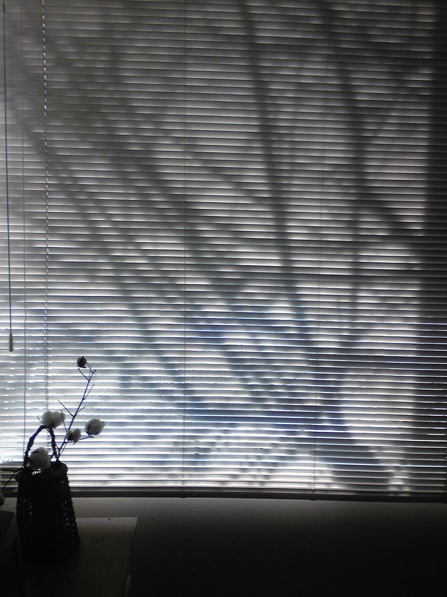 f0100480_21291580.jpg
