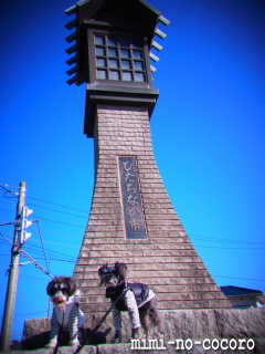f0155381_18564958.jpg