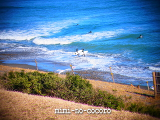 f0155381_19261563.jpg