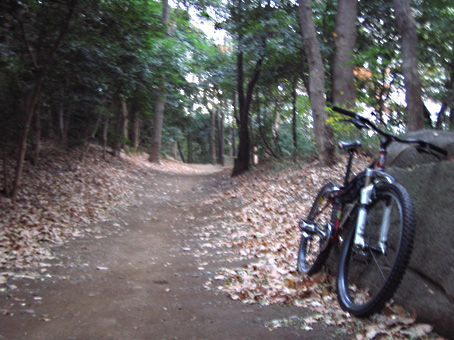 b0087187_19562234.jpg