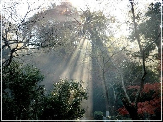 e0143690_117452.jpg