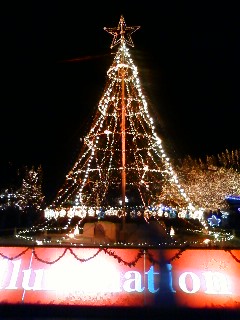 f0217090_20152827.jpg