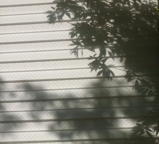 c0062796_19185151.jpg
