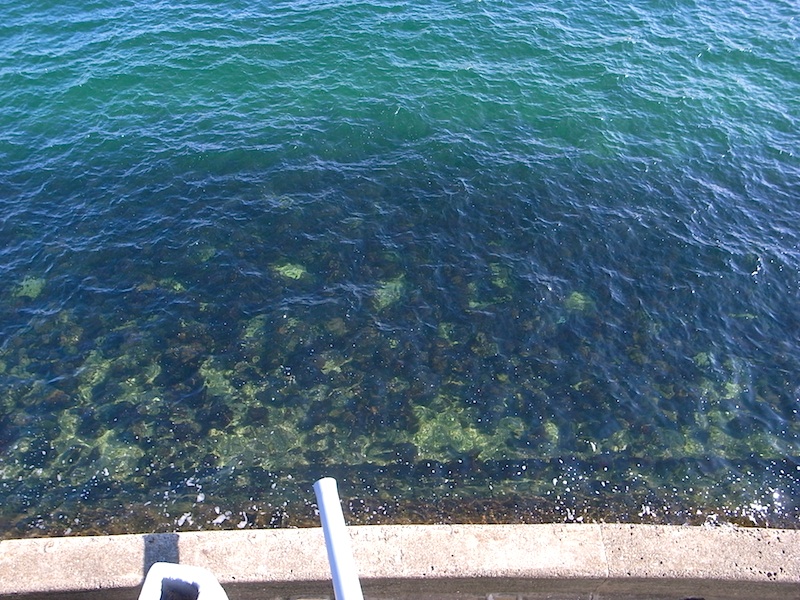 f0108399_193867.jpg
