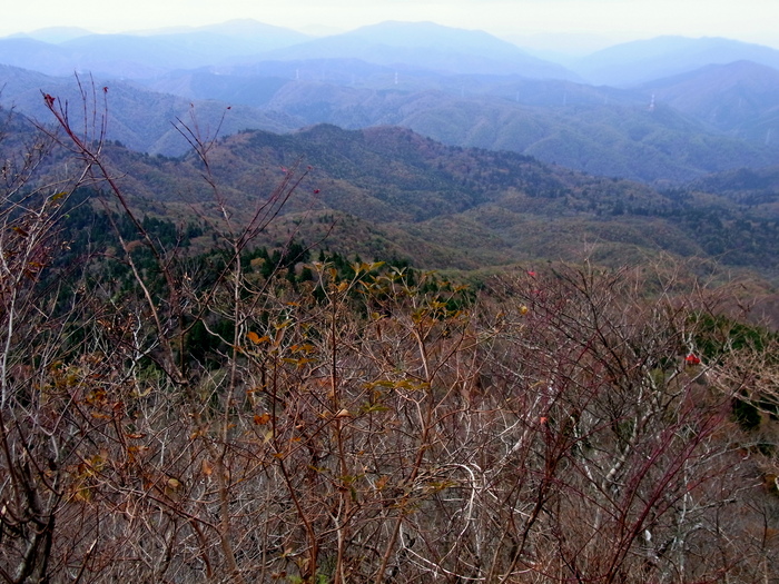 c0197004_1529455.jpg