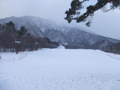 f0161708_2023397.jpg