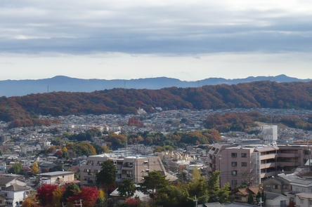 f0221708_17132552.jpg