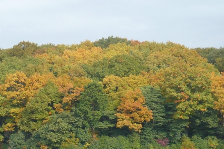 f0221708_17135683.jpg