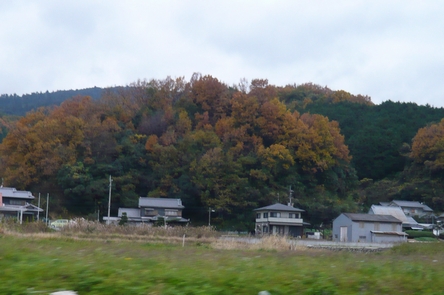 f0221708_17143123.jpg