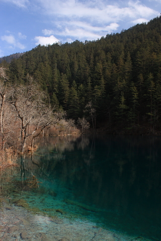 d0077811_22535467.jpg