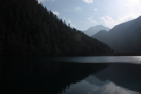 d0077811_22571721.jpg