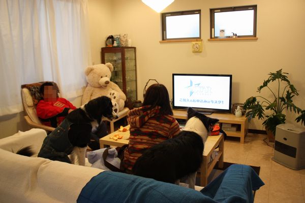 d0224111_210947.jpg