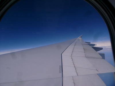 d0098022_1430111.jpg