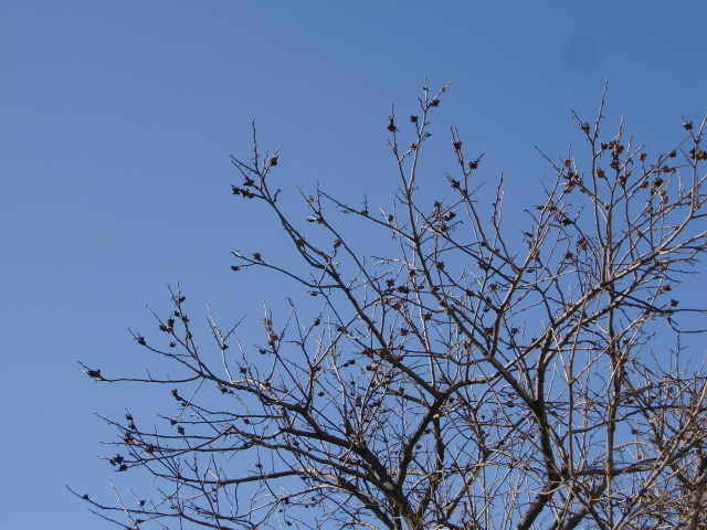 e0234924_16345411.jpg