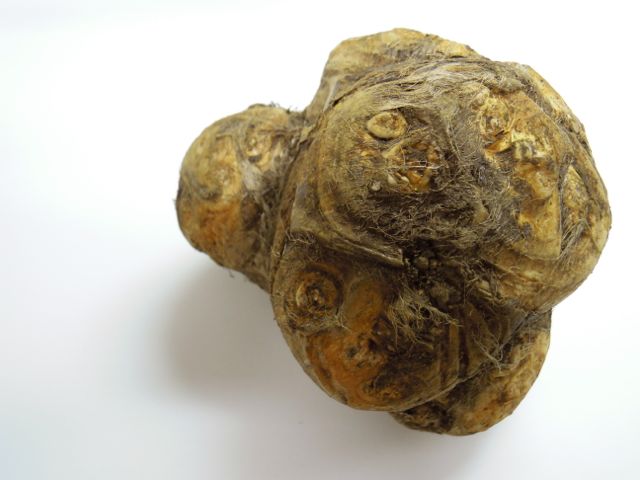 f0229926_1653743.jpg