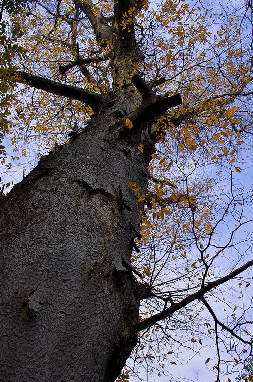 c0198227_21321270.jpg