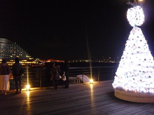 b0164533_20521288.jpg