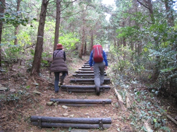 c0077338_6232899.jpg