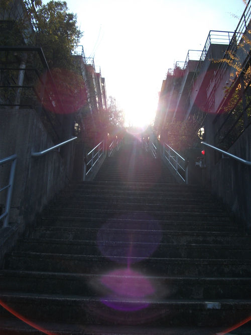d0194741_2016456.jpg