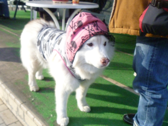e0121548_1074510.jpg