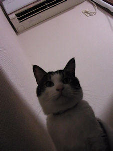 d0034352_21532554.jpg