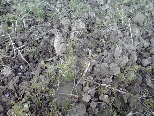 f0057955_2262133.jpg
