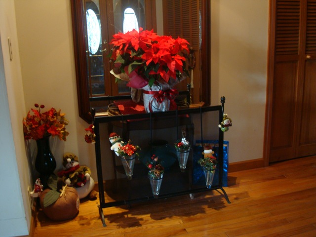 f0198556_147492.jpg