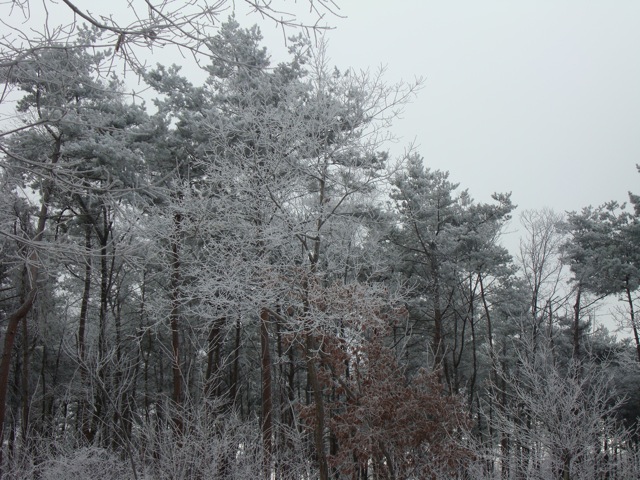 f0198556_19421251.jpg
