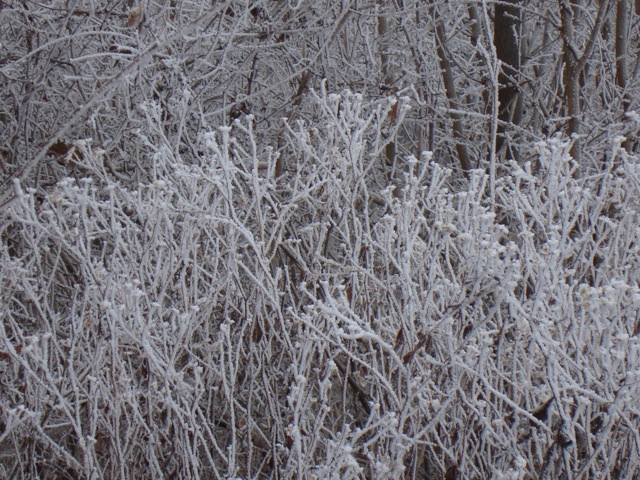 f0198556_19423317.jpg