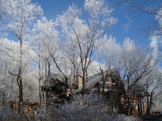 f0198556_1953517.jpg