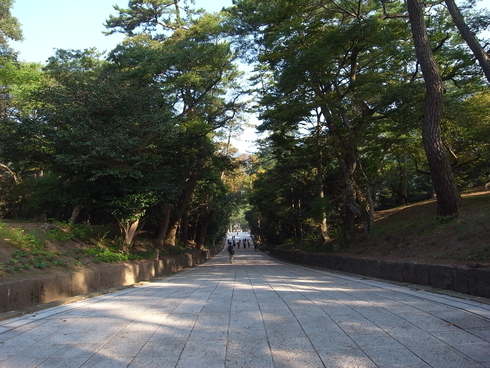 b0132663_95752.jpg
