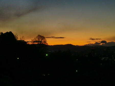 d0105063_9174817.jpg