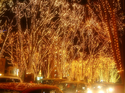 c0050264_9214129.jpg