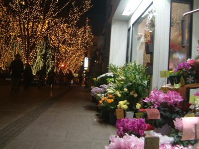 c0050264_9221884.jpg