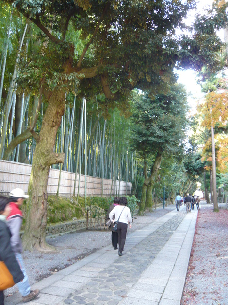 d0108969_18415964.jpg