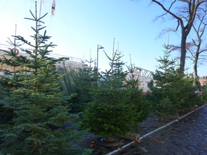 c0216472_16472293.jpg