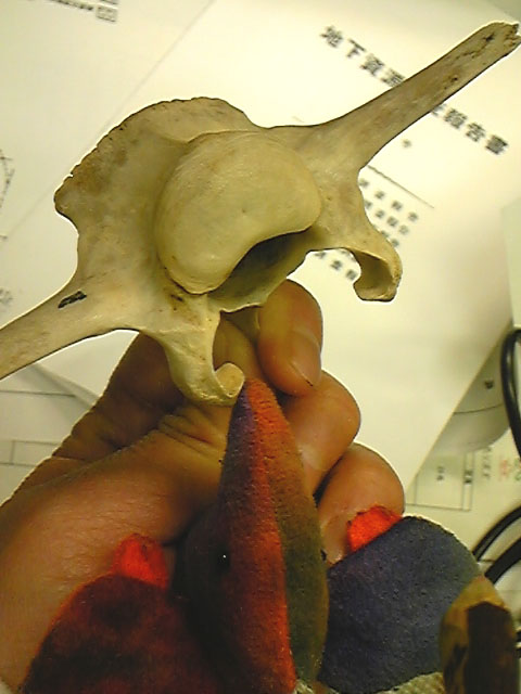 e0118274_21275060.jpg