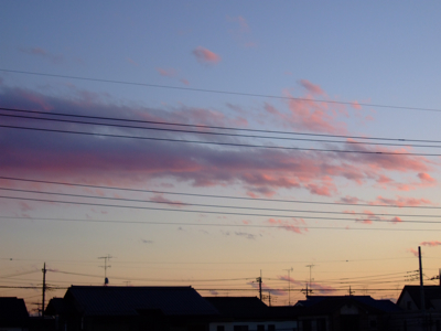 a0105480_01255.jpg