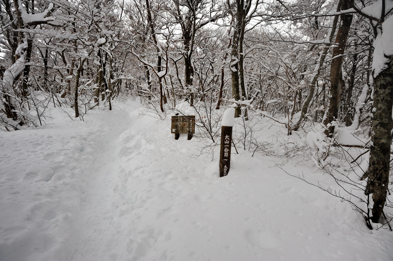 c0138991_21324159.jpg