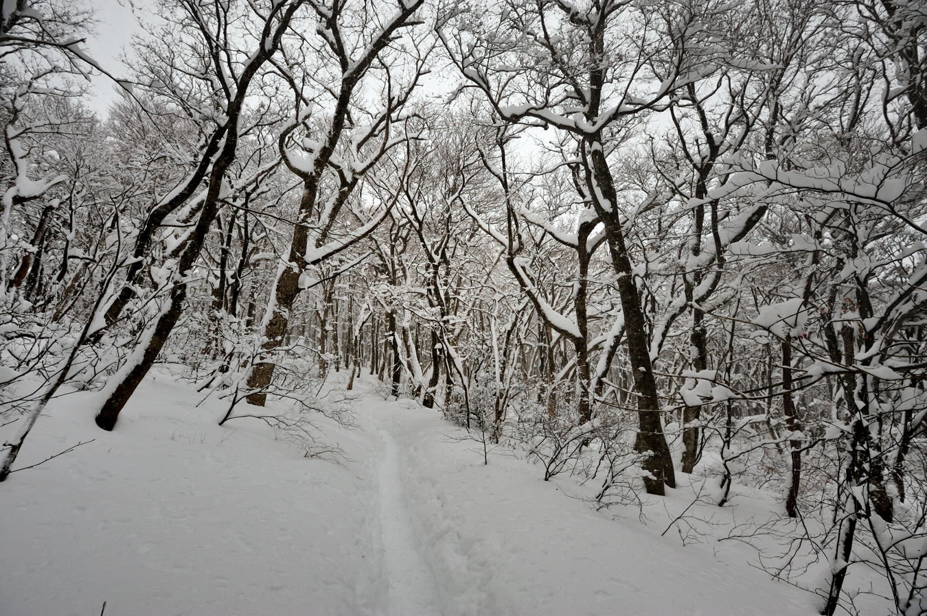 c0138991_2147398.jpg